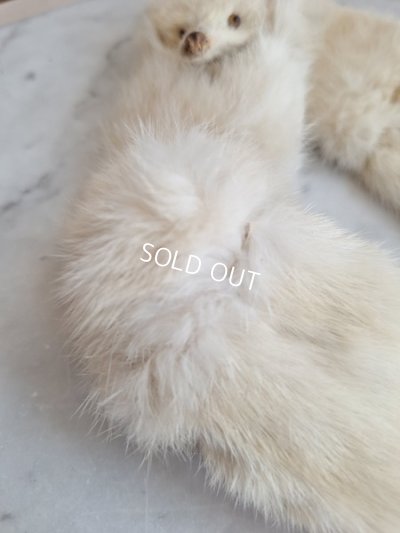 画像9: フォックスマフラー