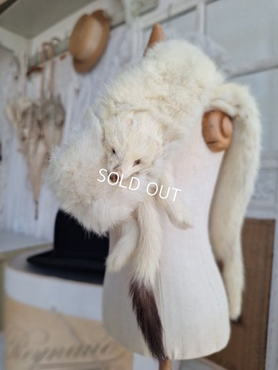 画像2: フォックスマフラー