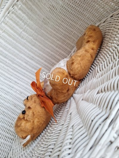 画像16: フレンチテディベア