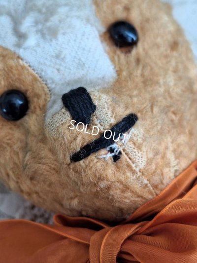 画像4: フレンチテディベア