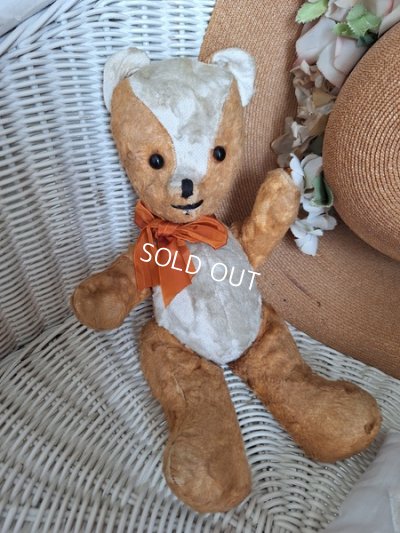 画像6: フレンチテディベア