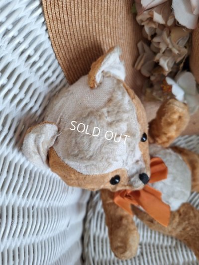 画像9: フレンチテディベア