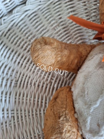 画像13: フレンチテディベア