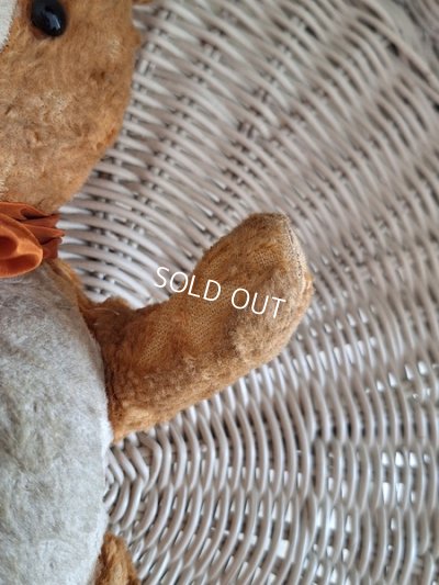 画像14: フレンチテディベア