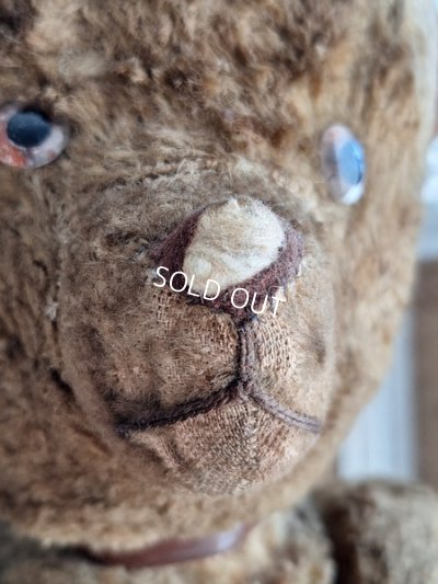 画像19: JPMテディベア