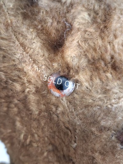 画像4: JPMテディベア