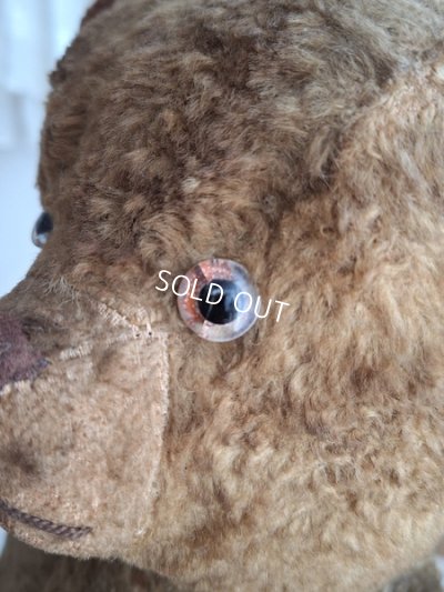 画像5: JPMテディベア