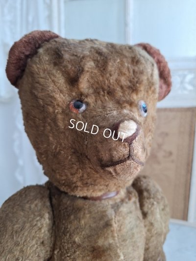 画像8: JPMテディベア