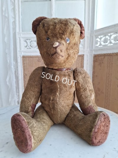 画像2: JPMテディベア