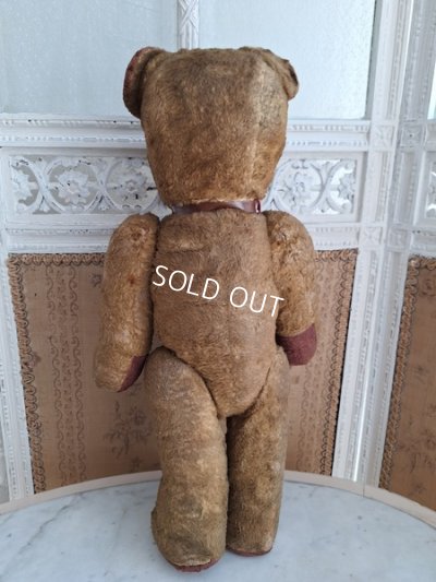 画像11: JPMテディベア