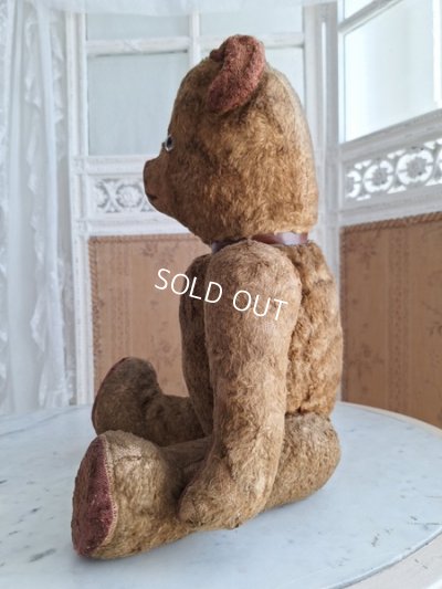 画像12: JPMテディベア