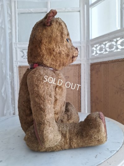 画像14: JPMテディベア