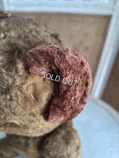 画像6: JPMテディベア