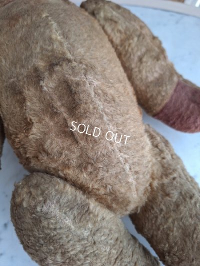 画像16: JPMテディベア