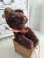 jpmteddybear
