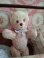 pinkteddybear