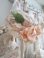 dollbonnet