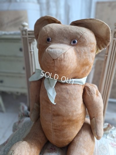 jpmteddybear
