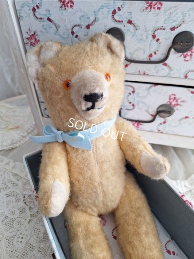 germanteddybear