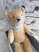 germanteddybear