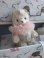 smallvintagebear