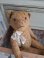 teddybear
