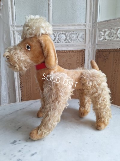 画像2: Steiff Snobbyプードル