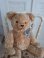 hermannteddybear