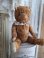 frenchshabbybear