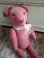 pinkteddybear