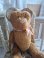 jpmteddybear