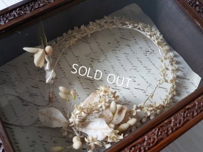 画像12: ワックスフラワーティアラガラスケース