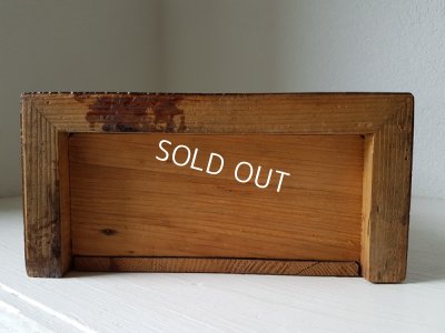 画像14: ワックスフラワーティアラガラスケース