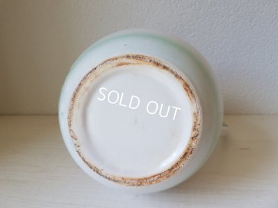 画像6: Japyグリーンぼかしアヤメ柄ジャグ