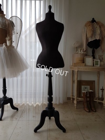 画像20: ヴィクトリアントルソー