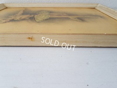 画像11: バレリーナ画