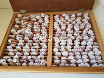 画像2: アンティークモノグラムレースキャビネット