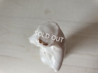 画像9: アンティ―クマリア像