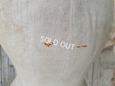 画像11: アンティ―クコルセットトルソー