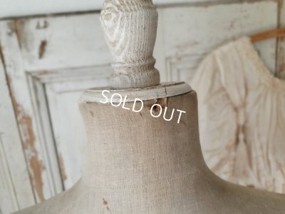 画像10: アンティ―クコルセットトルソー