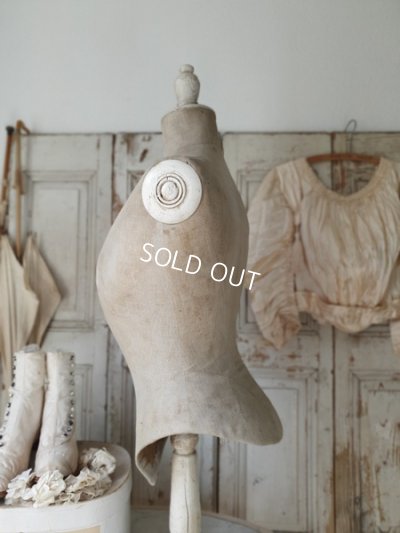 画像17: アンティ―クコルセットトルソー