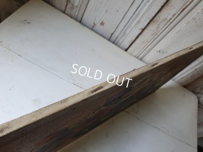 画像8: 花の油絵