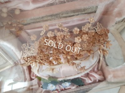 画像7: アンティ―クグローブドマリエガラスケース