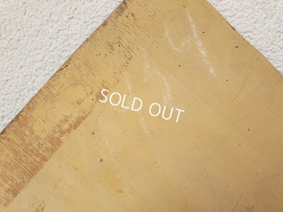 画像8: ペチュニアの油絵