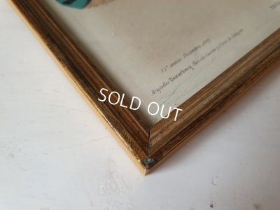 画像7: 額付きフランスモード画