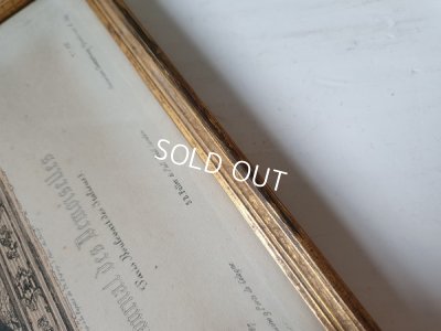 画像5: 額付きフランスモード画