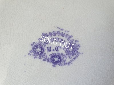 画像13: サルグミンヌJardinierベイスン