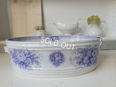 画像7: サルグミンヌJardinierベイスン