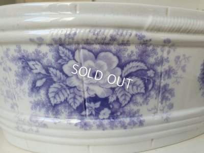 画像2: サルグミンヌJardinierベイスン