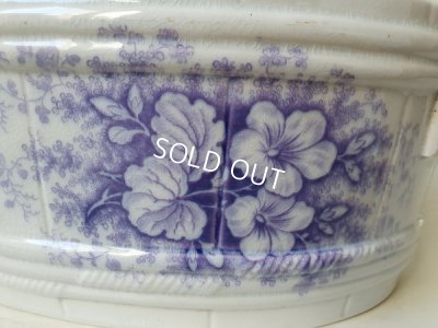 画像3: サルグミンヌJardinierベイスン